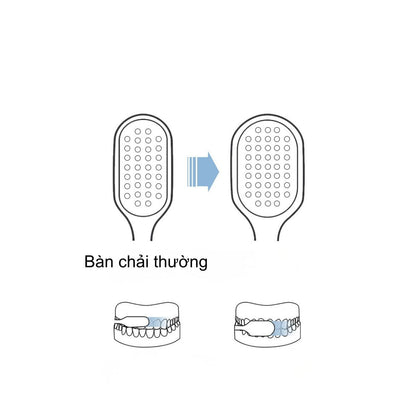 Set 3 Bàn Chải Đánh Răng Lông Mềm CHENKE Cho Người Lớn - Chống Trượt, Tích Hợp Chải Lưỡi Mã 8035