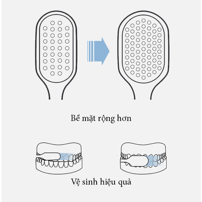 Bàn chải đánh răng Chenke Raoyi - đầu lớn - mềm mại - Set 3